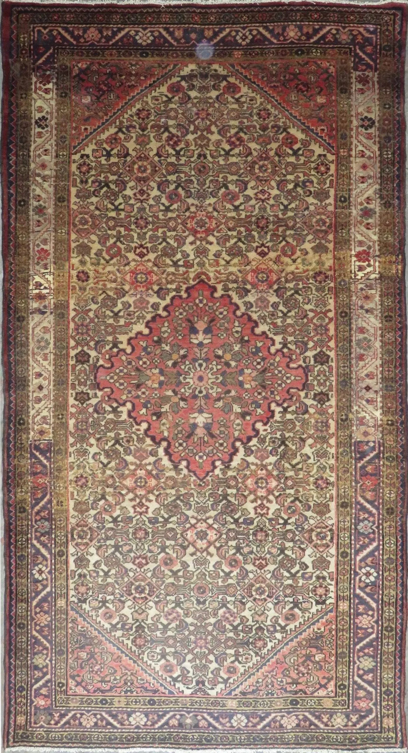 IMG 636 scaled eba2edf7 0d36 4a6a b4ef b78aaa8aa53e